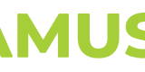 Visa partner logo